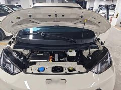 BYD Seagull Glory Edition 305km Vitality Version - ფოტო 20