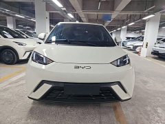 BYD Seagull Glory Edition 305km Vitality Version - ფოტო 3