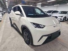 BYD Seagull Glory Edition 305km Vitality Version - ფოტო 4