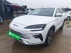 BYD Song Plus New Energy 2023 Champion Edition DM-i 110KM Flagship Plus - ფოტო 2