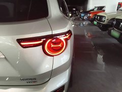 Haval Big Dog PLUS New Energy 2026 Hi4 150km Trendy EV Edition - ფოტო 8