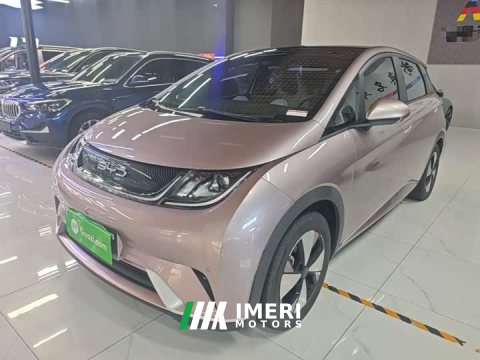 2023 BYD Dolphin 420km Fashion Edition - ავტომობილი ჩინეთიდან