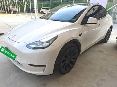 Tesla Model Y Long Range All-Wheel Drive - ფოტო 1