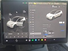 Tesla Model Y Long Range All-Wheel Drive - ფოტო 12