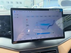 BYD Song L DM-i 2024 112km Leading Edition - ფოტო 13