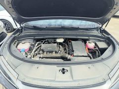 BYD Song L DM-i 2024 112km Leading Edition - ფოტო 20