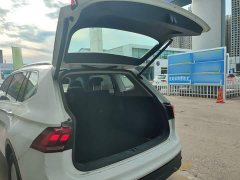 Volkswagen Tiguan L Outstanding Edition 300TSI Automatic FWD Dragon Ascendant Version - ფოტო 19