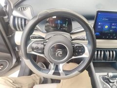 BYD Yuan Plus 510KM Respect and Honor Edition - ფოტო 11