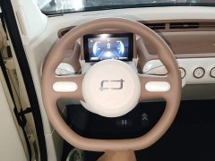 FAW Besturn Xiaoma 222km Colorful Edition - ფოტო 11