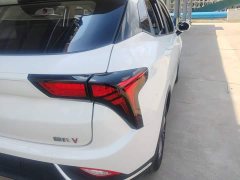 Neta V 2022 Tide 300 Lite LFP - ფოტო 8
