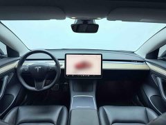 Tesla Model 3 2022 Performance All-Wheel Drive - ფოტო 11