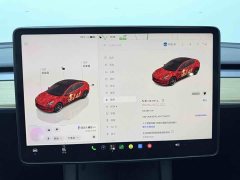 Tesla Model 3 2022 Performance All-Wheel Drive - ფოტო 12