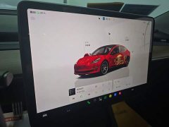 Tesla Model 3 2022 Performance All-Wheel Drive - ფოტო 13