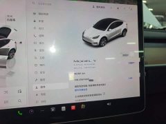 Tesla Model Y Long Range All-Wheel Drive - ფოტო 12