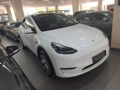 Tesla Model Y Long Range All-Wheel Drive - ფოტო 4