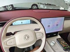 Dongfeng L8 112KM Edition - ფოტო 10