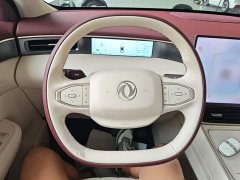 Dongfeng L8 112KM Edition - ფოტო 11