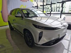 Dongfeng L8 112KM Edition - ფოტო 4