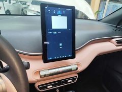 BYD Seagull Vitality Edition - ფოტო 13