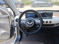 Wuling Binguo 333km Joy Edition - ფოტო 11