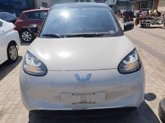 Wuling Binguo 333km Joy Edition - ფოტო 3