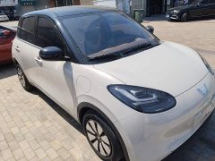 Wuling Binguo 333km Joy Edition - ფოტო 4