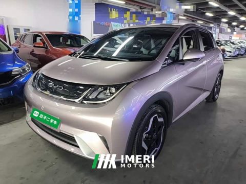 2022 BYD Dolphin 405km Freedom Edition - ავტომობილი ჩინეთიდან
