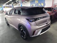 BYD Dolphin 405km Freedom Edition - ფოტო 5