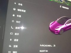 Tesla Model 3 2023 Rear-Wheel Drive - ფოტო 12