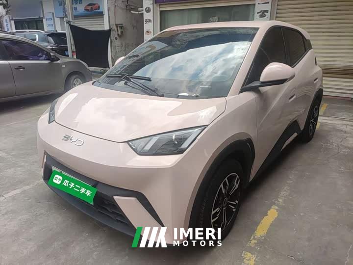 BYD Seagull Glory Edition 305km Vitality Version - ავტომობილი ჩინეთიდან