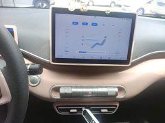 BYD Seagull Glory Edition 305km Vitality Version - ფოტო 13