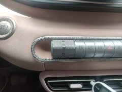 BYD Seagull Glory Edition 305km Vitality Version - ფოტო 14