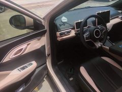 BYD Seagull Glory Edition 305km Vitality Version - ფოტო 16
