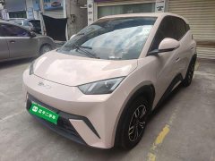 BYD Seagull Glory Edition 305km Vitality Version - ფოტო 2