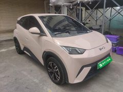 BYD Seagull Glory Edition 305km Vitality Version - ფოტო 4