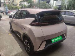 BYD Seagull Glory Edition 305km Vitality Version - ფოტო 5
