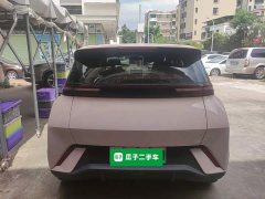 BYD Seagull Glory Edition 305km Vitality Version - ფოტო 6