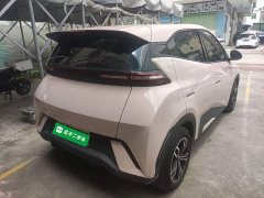BYD Seagull Glory Edition 305km Vitality Version - ფოტო 7