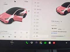 Tesla Model Y Standard Range RWD - ფოტო 12