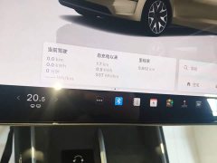 Tesla Model Y L Long Range All-Wheel Drive - ფოტო 12