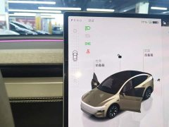 Tesla Model Y L Long Range All-Wheel Drive - ფოტო 14