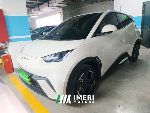 2024 BYD Seagull 305km Freedom Edition