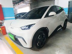 BYD Seagull 2025 305km Freedom Edition - ფოტო 2