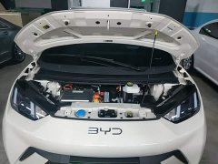 BYD Seagull 2025 305km Freedom Edition - ფოტო 20