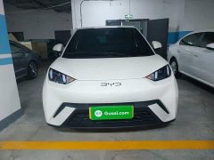 BYD Seagull 2025 305km Freedom Edition - ფოტო 3