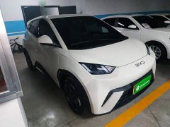 BYD Seagull 2025 305km Freedom Edition - ფოტო 4
