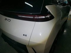 BYD Seagull 2025 305km Freedom Edition - ფოტო 8