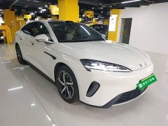 BYD Dolphin 07 DM-i 2026 DM-i 1.5T 230km Flagship - ფოტო 4