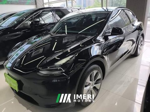 2022 Tesla Model Y Rear-Wheel Drive - ავტომობილი ჩინეთიდან