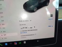 Tesla Model Y Rear-Wheel Drive - ფოტო 12